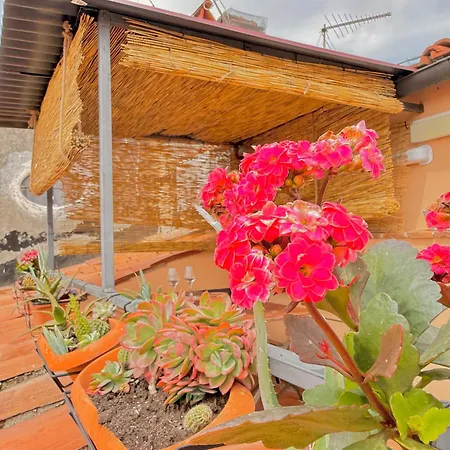 Apartamento Vista - Vivi La Storia In Prima Fila Pisa